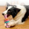 Dog Chew Toy Dog Bone Type  Dogs Teeth Cleaning Toys Indestructible TPR Bone Chewing Bite Resistant Teething Toys  Pet Products – Image 9